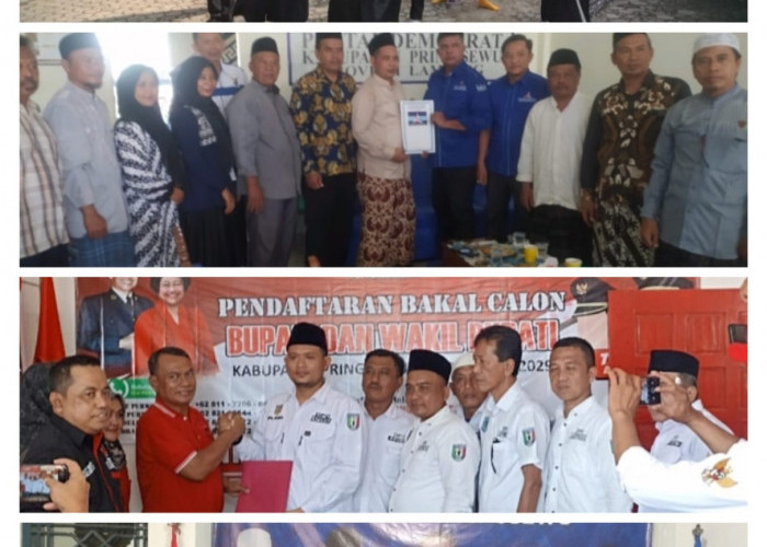 Ini Nama-nama Bakal Calon Bupati Pringsewu yang Daftar di Partai