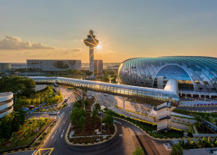 Hotel Dekat Bandara Changi Singapura, Dari Bintang Lima hingga Kapsul