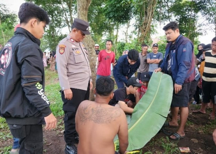 Geger! Pria di Pringsewu Ditemukan Meninggal Dunia di Pohon Asam