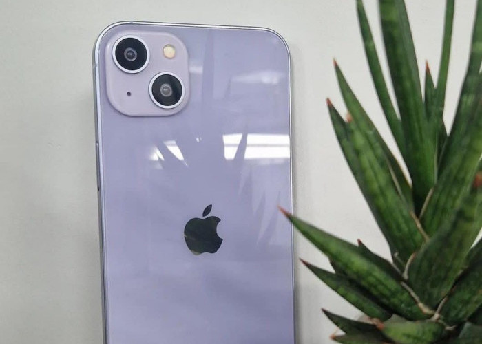 4 Rekomendasi Toko iPhone Murah dan Berkualitas di Bandar Lampung