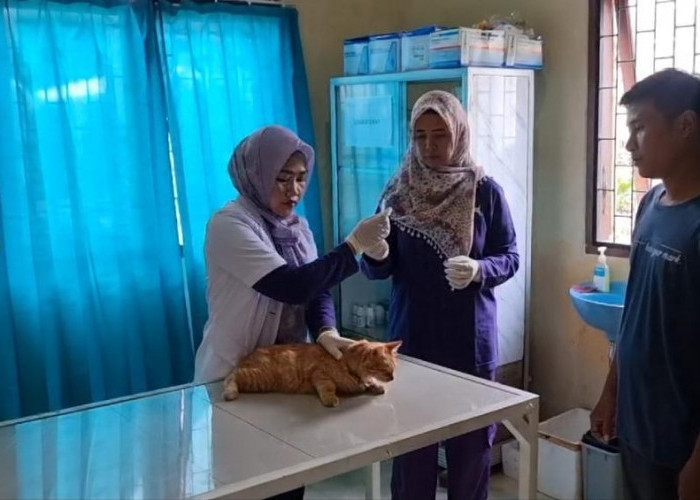 Hewan Peliharaan dapat Vaksin Rabies Gratis