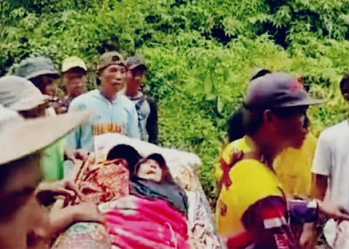 Jalan Sulit Dilalui, Warga di Bengkulu Dibawa Dalam Kotak untuk ke Rumah Sakit 