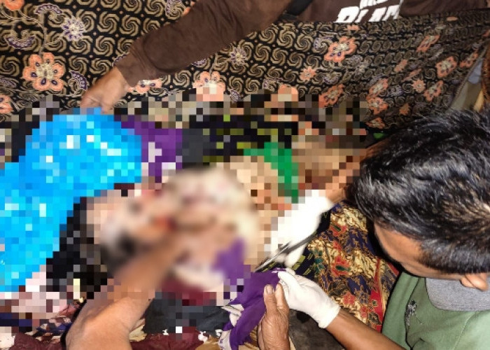 Warga Lampung Barat Jadi Korban Harimau, Kondisinya Begini