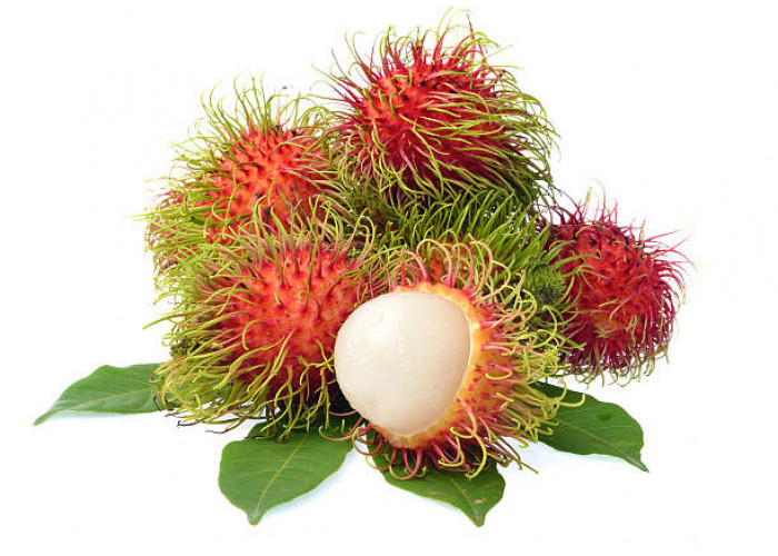 Manfaat Buah Rambutan Buat Kesehatan Tubuh dan Baik untuk Mata