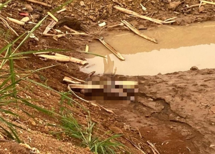 Mayat Anonim Laki Laki di Temukan di dekat SMAN 7 Bandar Lampung, Polsek Kemiling Evakuasi ke RS Bhayangkara