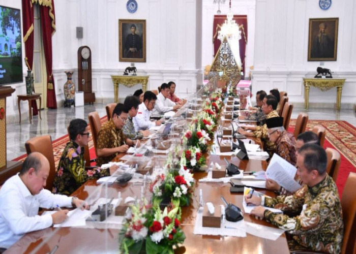 Pengumuman, Ini Kabar Baik Untuk Produsen Pupuk Organik Dari Presiden