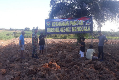Lihat Lahan Kosong, Prajurit TNI AD Langsung Tergerak Tanami Jagung