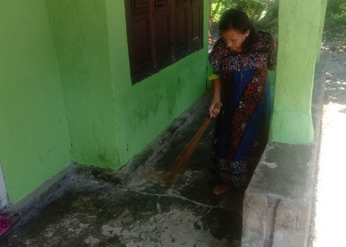 Merinding! Ribuan Hewan Kaki Seribu Berbintik Kuning Bermunculan di Pesisir Barat Lampung 