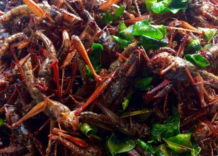 13 Makanan Ekstrem di Indonesia, Ngeri-ngeri Sedap Euy! Ada Yang Sejak Era Dinasti Qing