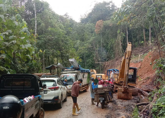 Gara-gara Akses Jalan, Penyaluran Beras CPP Terhambat