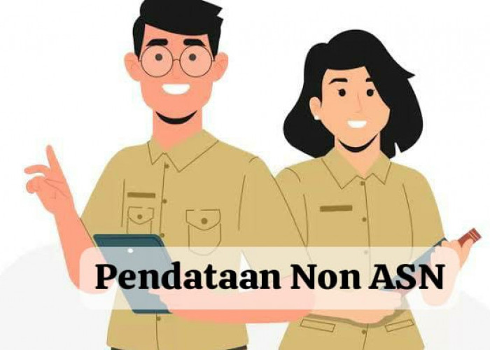 Honorer Wajib Tahu! Begini Cara Cek Status Pendataan Non ASN untuk Daftar PPPK 2024