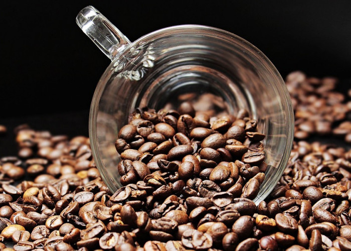 5 Rekomendasi Biji Kopi Citarasa Nusantara, Nomor 1  Wajib Kamu Coba