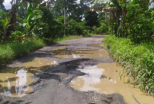 Perbaiki Dua Ruas Jalan, Prioritas Titik Terparah