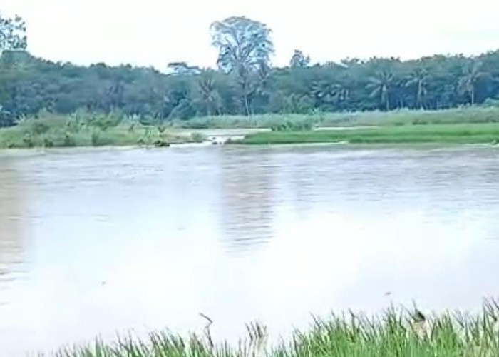 Musim Penghujan, Lahan Petani Gagal Panen