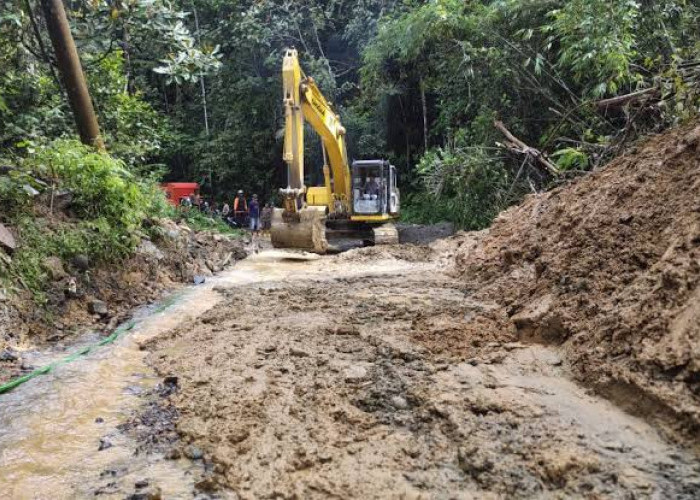 Lambatnya Penanganan Longsor, Bus DAMRI Trayek Liwa-Way Heni Berhenti Beroperasi