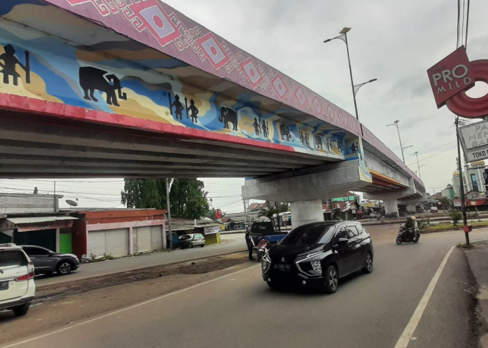 Pemkot Bandar Lampung Targetkan Mural Empat Flyover di Tahun 2023