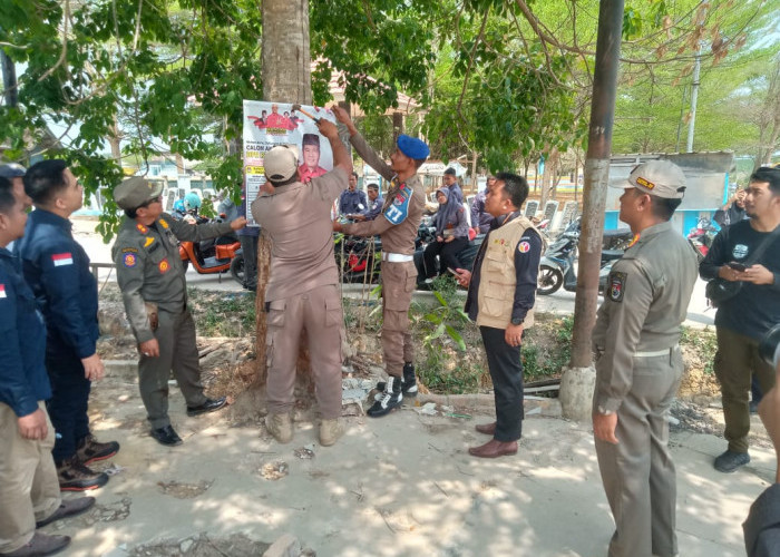 Bawaslu bersama Pol PP Mesuji Tertibkan Alat Peraga Kampanye Bacalon Legislatif