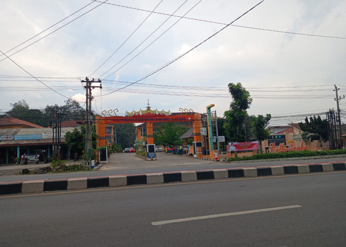 BKD Klaim Pelaksanaan Seleksi Kompetensi Calon PPPK Pemprov Lampung Tidak Ada Kendala