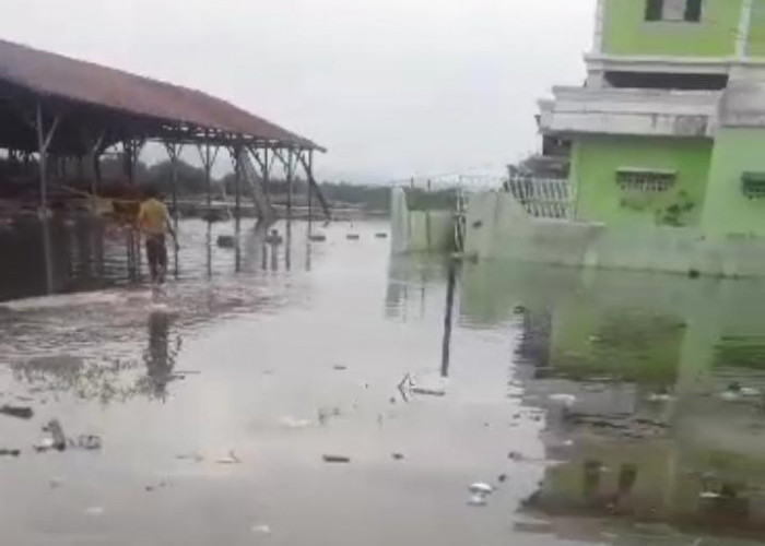 Warning! Banjir Rob dan Cuaca Ekstrem Berpotensi Kembali Ancam Pesisir Lampung