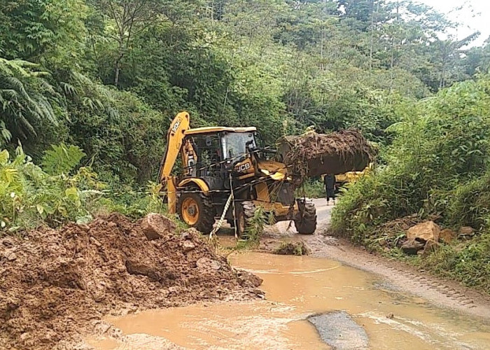 Waspada Longsor Susulan, Alat Berat Disiagakan di Jalur Liwa-Krui 