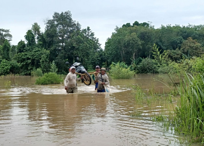 Terendam Banjir, Ruas Jalan Desa di Lampung Timur Terputus
