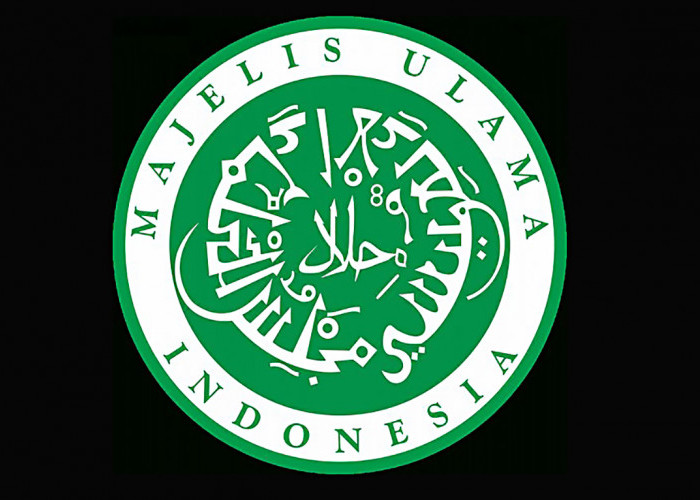 MUI Terbitkan Fatwa Haram Membeli Produk yang Mendukung Israel, Berikut Daftarnya 
