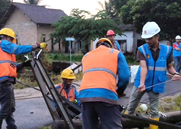 Gerak Cepat Pasca Cuaca Esktrem, PLN UID Lampung Pulihkan 100 Persen Kelistrikan Dua Kabupaten