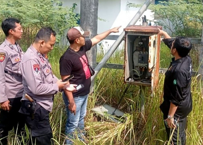 Mertua dan Menantu Terlibat Pencurian Kabel Listrik di Pringsewu Lampung 