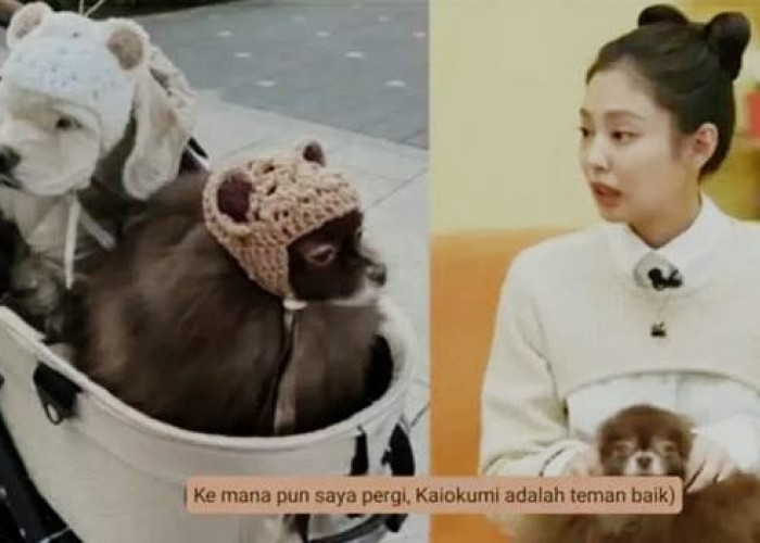 Pertama Kali Ceritakan Tentang Kai, Jennie Blackpink Mengaku Masih Berhati-hati