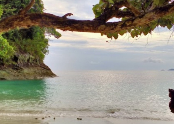 Pantai Teluk Hantu, Destinasi Wisata Lampung yang Eksotis Dengan Beragam Keindahan 