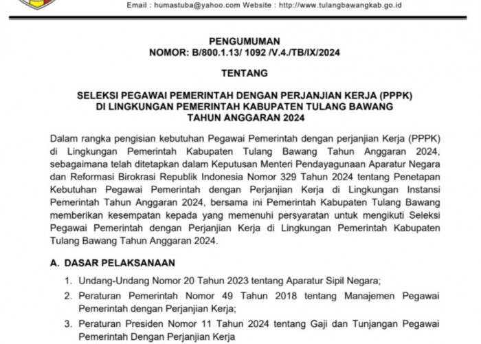 Resmi, Pemkab Tulang Bawang Buka Formasi 325 PPPK, Ini Rinciannya