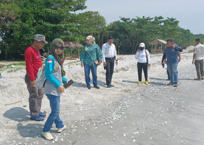 Dinas Lingkungan Hidup Lampung Pantau Limbah Hitam di Pesisir Lampung Timur, Ini Hasilnya