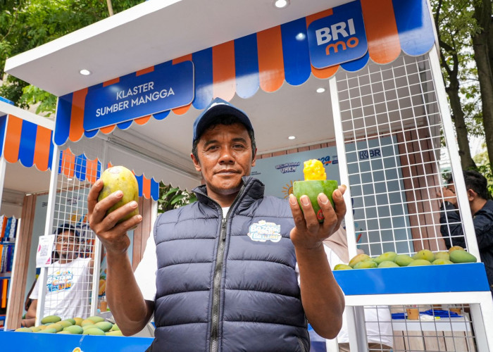 Diberdayakan BRI, Petani Mangga Bondowoso Tingkatkan Taraf Hidup