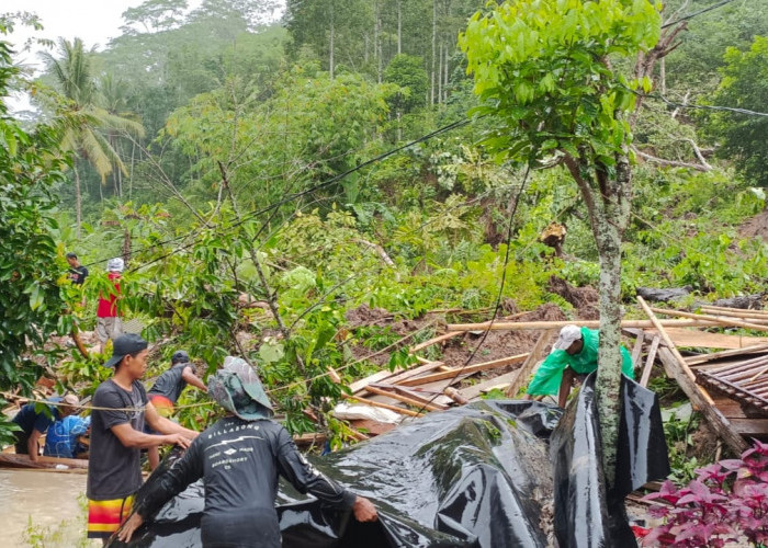 Dua Rumah di Lampung Barat Tertimbun Longsor, Begini Kondisinya 