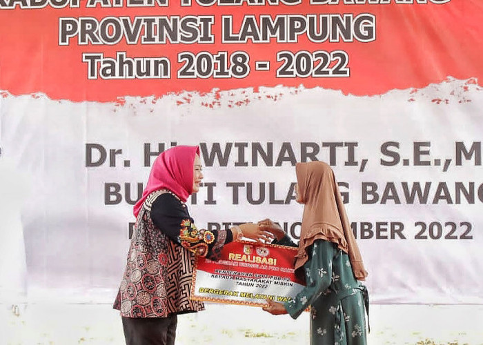 Hasil Program BMW, Waktu Tempuh Menggala-Rawa Pitu Jadi Dua Jam 