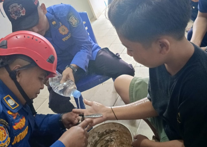 Dalam Sehari, Disdamkarmat Bandar Lampung Evakuasi 2 Hewan dan 1 Pelepasan Cincin