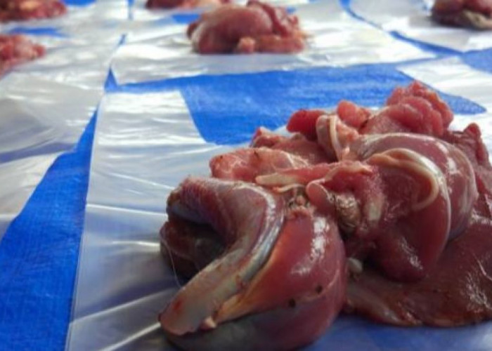Bagaimana Cara Menghitung Pembagian Daging Kurban? Simak Penjelasan Lengkap Berikut Ini