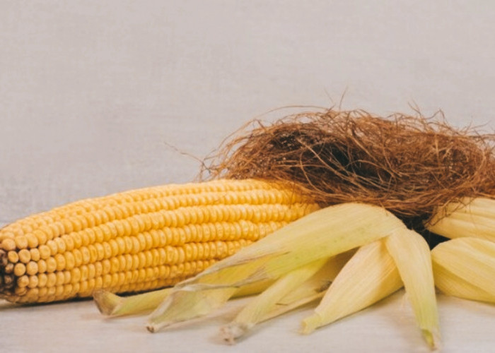 Manfaat Rambut Jagung yang Jarang Diketahui, Bisa Atasi Diabetes Hingga Cegah Kolesterol Tinggi