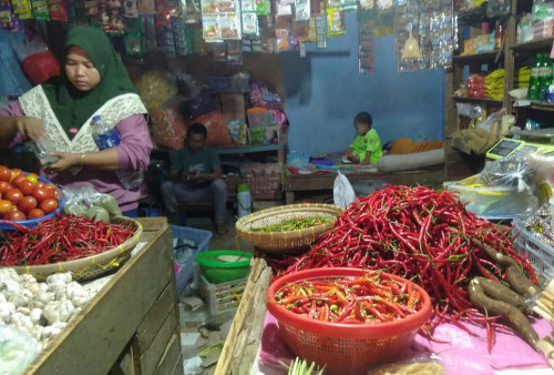 Sepedas Rasanya, Harga Cabai Rawit di Bandar Lampung Rp90 Ribu per Kilogram