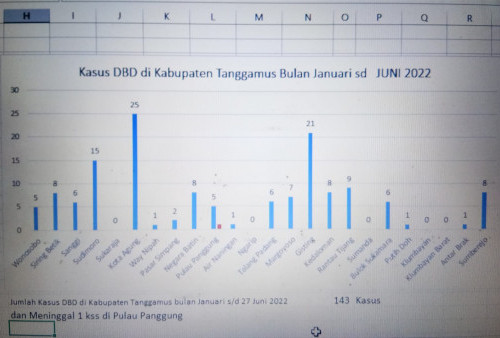 Ratusan Warga Tanggamus Diserang Penyakit Ini, Satu Orang Meninggal Dunia 