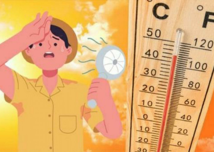 Mengapa Suhu Terasa Lebih Panas dari Perkiraan Cuaca? Begini Penjelasan BMKG