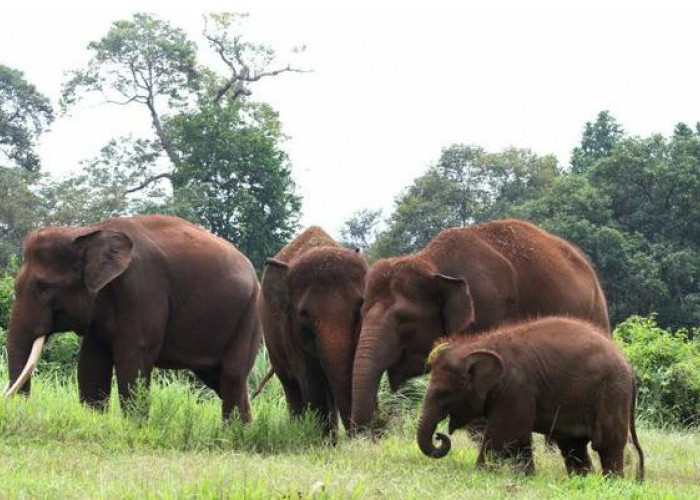 3 Wisata Edukasi di Lampung yang Cocok Buat Anak Kunjungi Saat Berlibur, Cek Tiket Masuk dan Fasilitas Lengkap