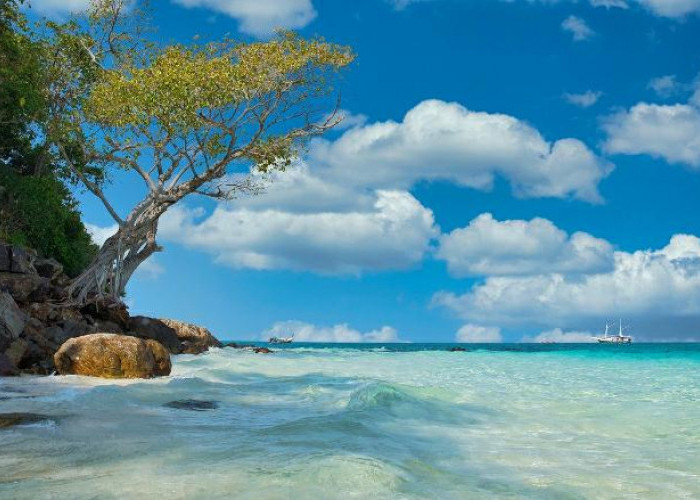 Serpihan Surga Nusantara, Ini Daftar Wisata Pantai Terbaik di Malang Jawa Timur