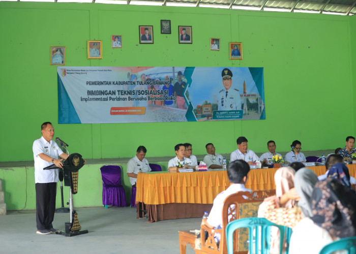 Baru Triwulan I 2025, Nilai Investasi Kabupaten Tulang Bawang Sudah Lampaui Target Provinsi Lampung