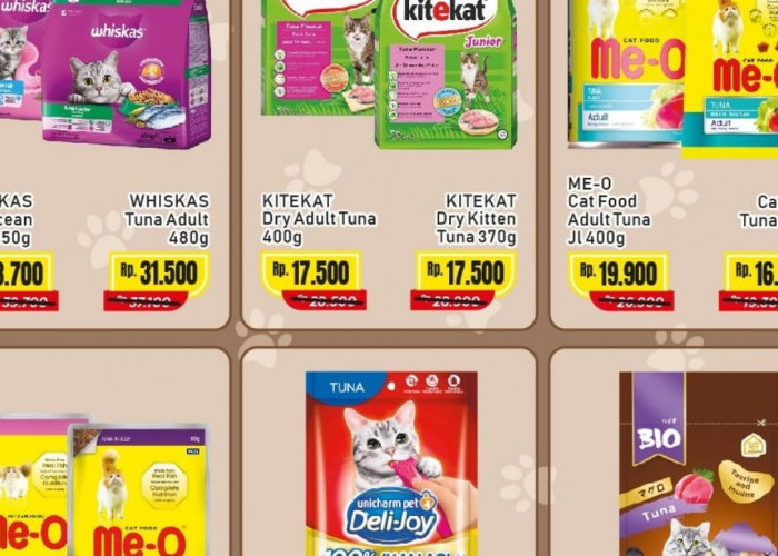 Promo Alfamart Hari Ini, Cek Katalog Kebutuhan Kucing Kesayangan