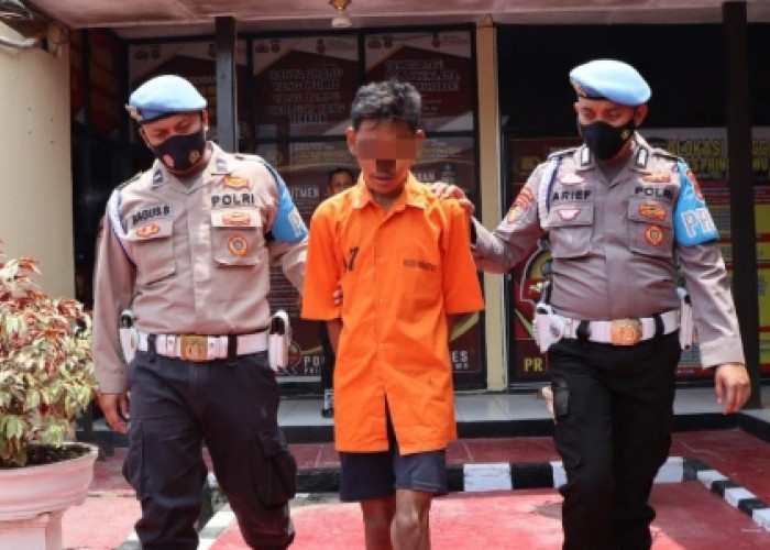 Kenal lewat Medsos, Janji Dinikahi, ABG di Pringsewu Dicabuli