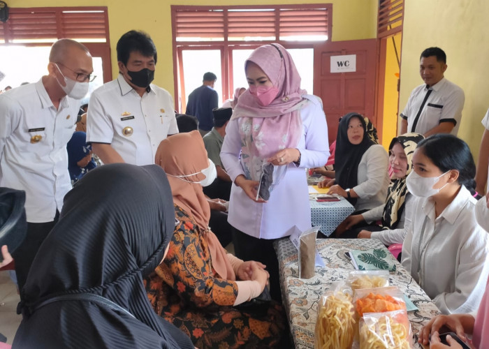 Bupati Tanggamus Tinjau Pelayanan Publik Terpadu dan MPPB di Pulau Panggung 