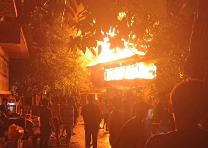 Si Jago Merah, Hantam Kawasan Padat Rumah Penduduk di Pesisir Barat, Lampung
