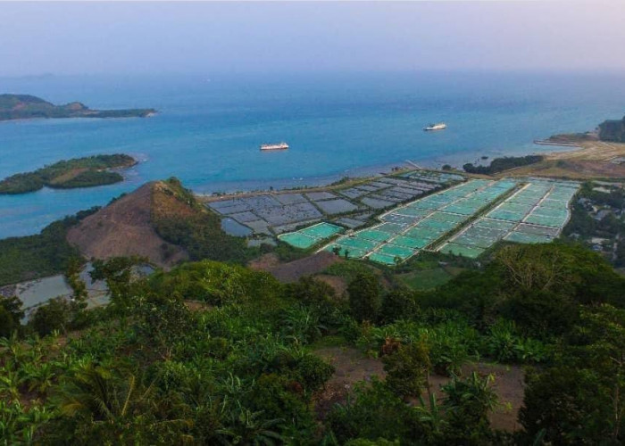 Rekomendasi Tempat Berkemah di Lampung, No. 3 Pemandangan Paling Keren