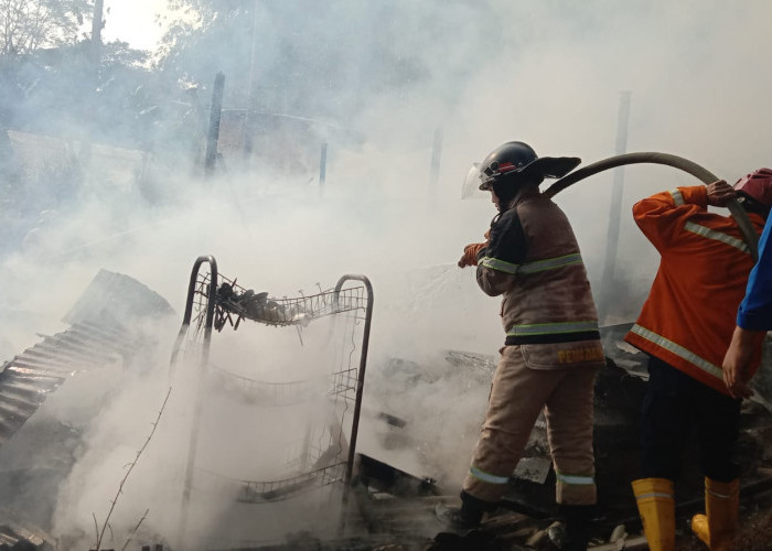 Si Jago Merah Mengamuk Lagi, Dua Orang Alami Luka Bakar Serius